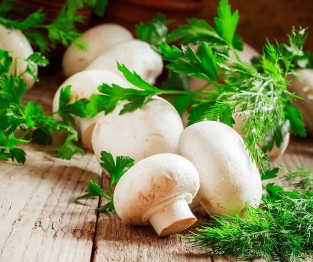 ZHANGZHOU ZHENTIAN FOOD