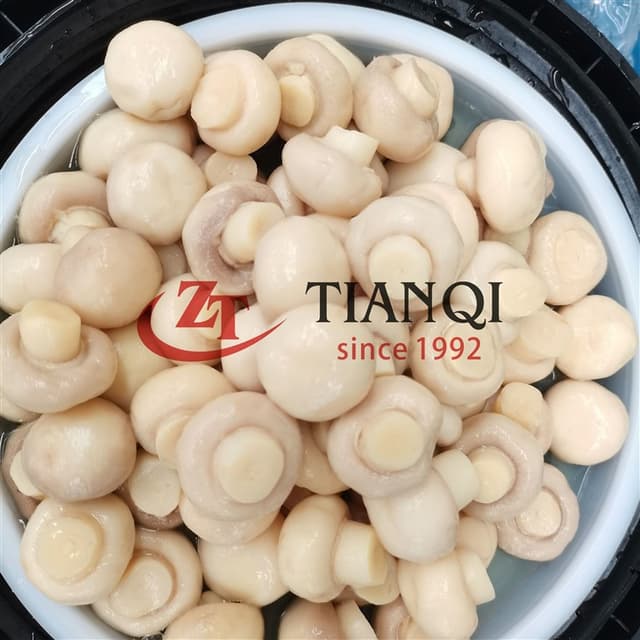 48 кг соленых консервированных грибов в SO2