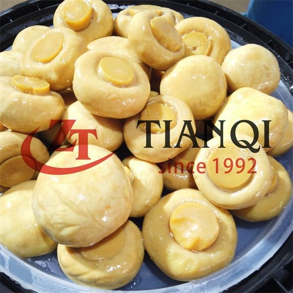 Гриб нового сезона в барабанах