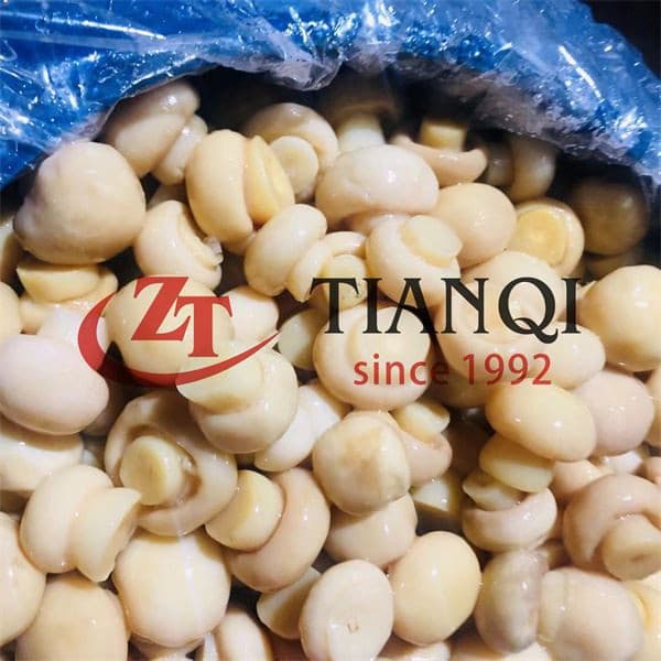 Грибы в барабанах