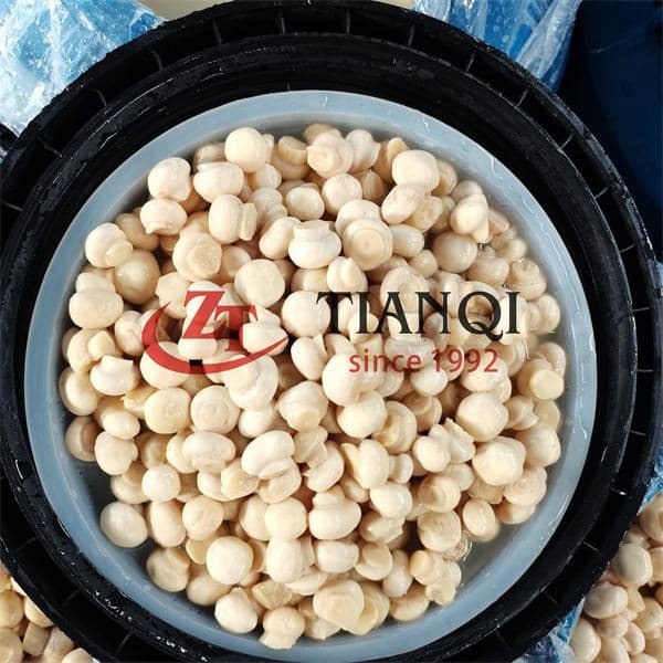 Соленые грибы в рассоле в бочках