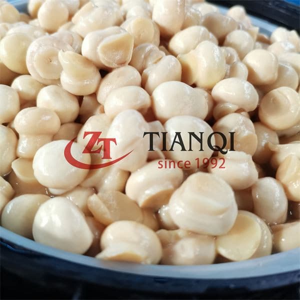 Оптовые соленые грибы в барабанах