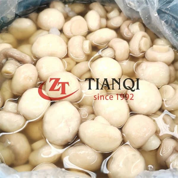 Целые шампиньоны в пластиковом барабане