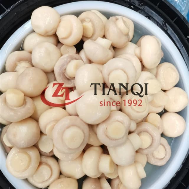 Целые шампиньоны в SO2 в пластиковой бочке