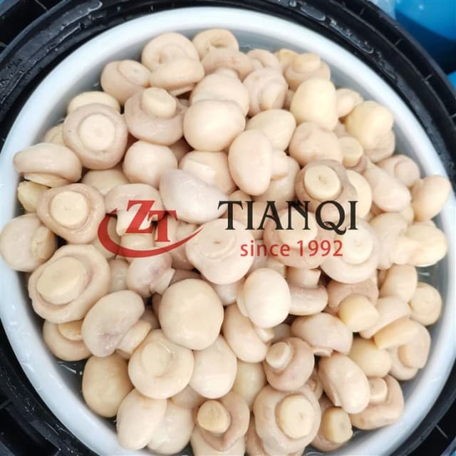 Гриб в барабане (класс C) в барабане 50 кг