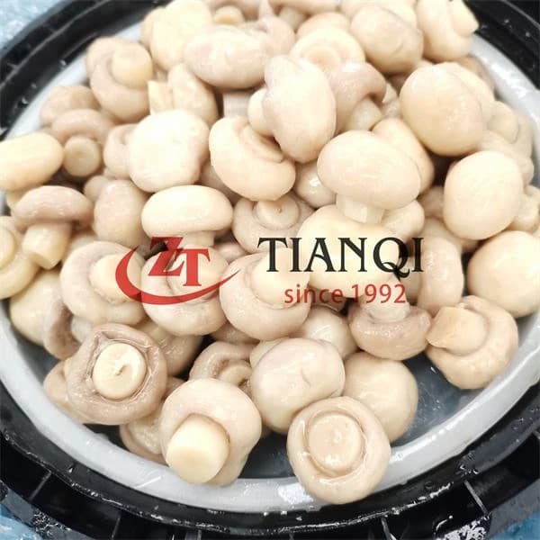 Шампиньоны PNS в рассоле, 50 кг, в бочке