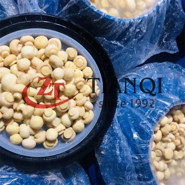 Грибы шампиньоны в барабанах