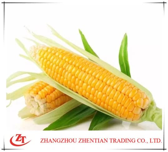 Консервированные Ядра Кукурузы Калории