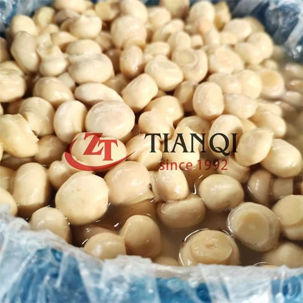 Вся Mushoom в барабаны