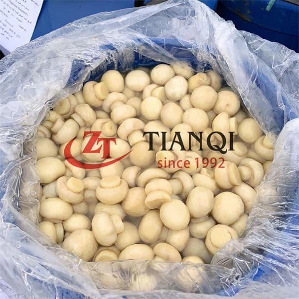 Свежий гриб в рассоле