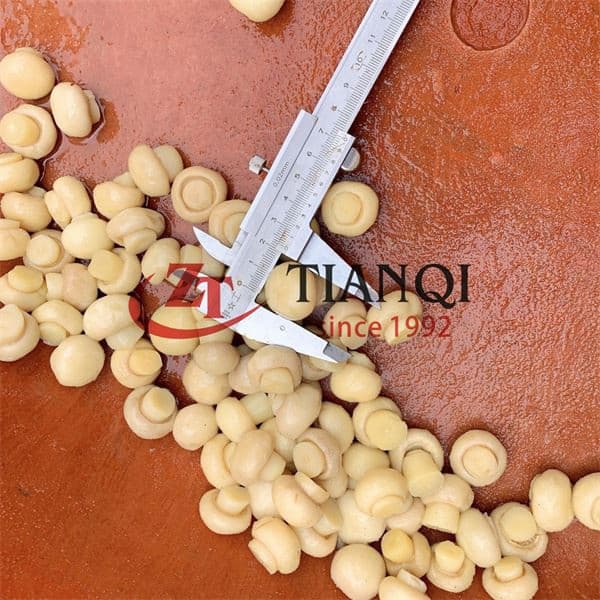 Свежий высококачественный нарезанный шампиньон в рассоле в барабане