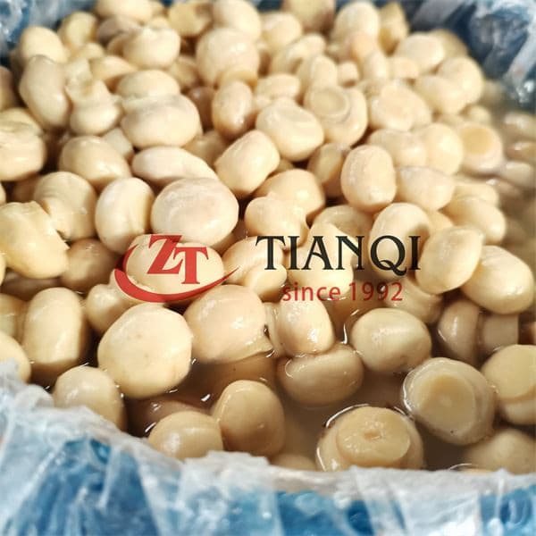 D Гриб в рассоле