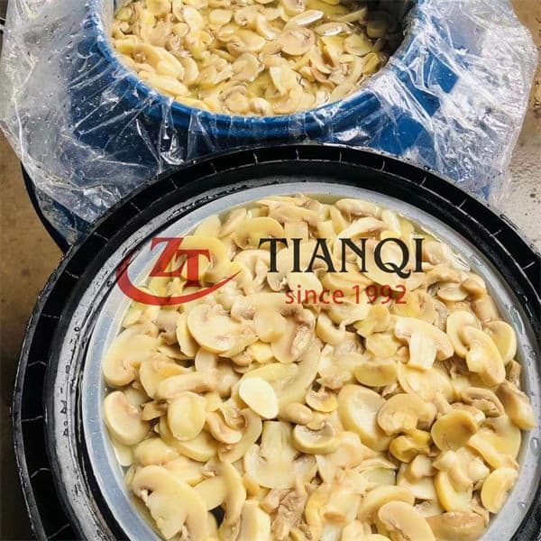 Рассольный гриб