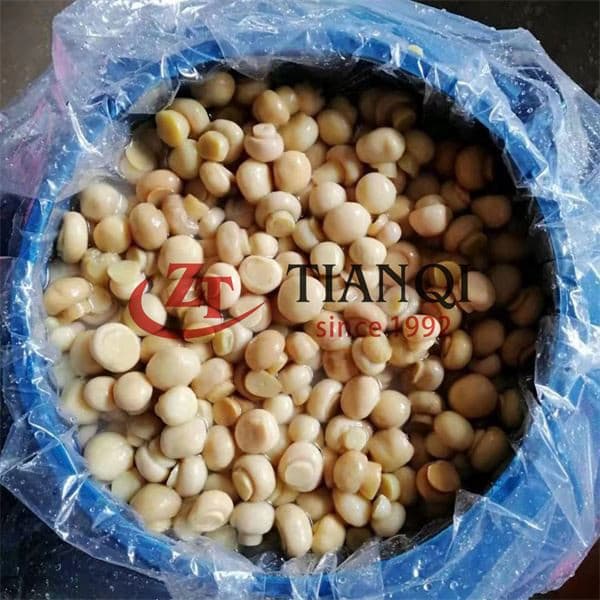 Грибы в целом в рассоле