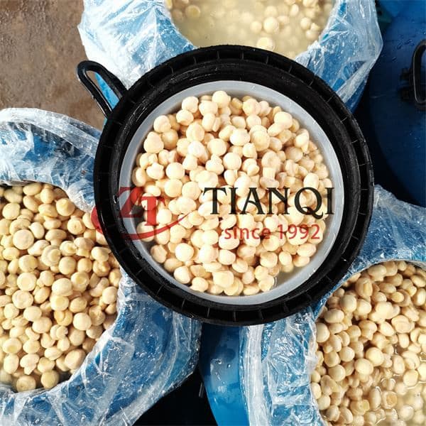 Хорошее качество рассола шампиньонов гриб в барабане