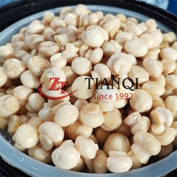 Бочка свежего цельного шампиньона в рассоле