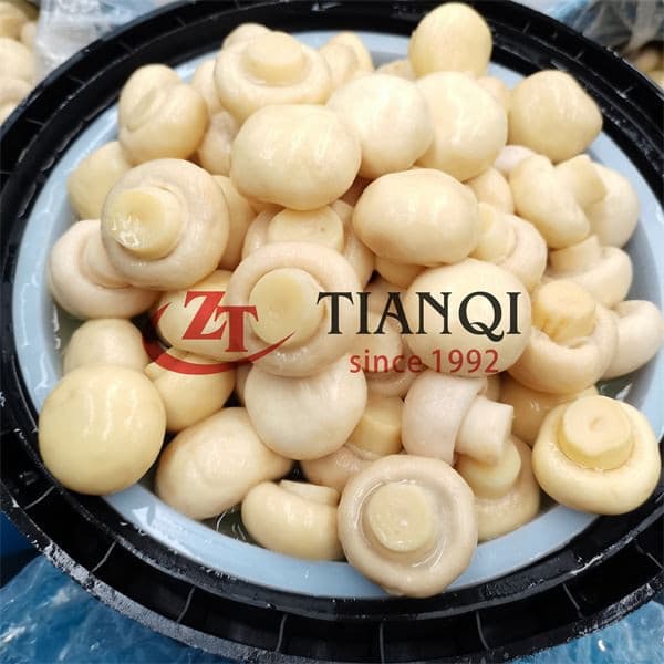 Рассольный ломтик шампиньона в барабане